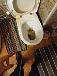 JPG Image, 459KB, 1505px × 2000px