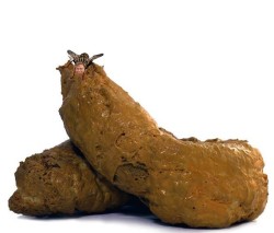 JPG Image, 60KB, 680px × 580px