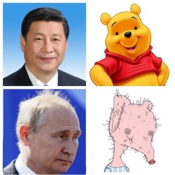 JPG Image, 80KB, 640px × 640px