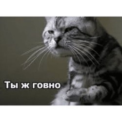 JPG Image, 29KB, 474px × 474px